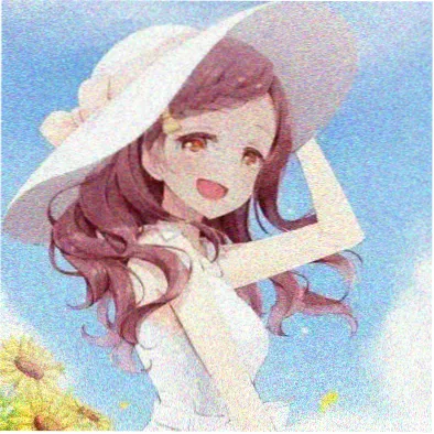 读者夜航船头像